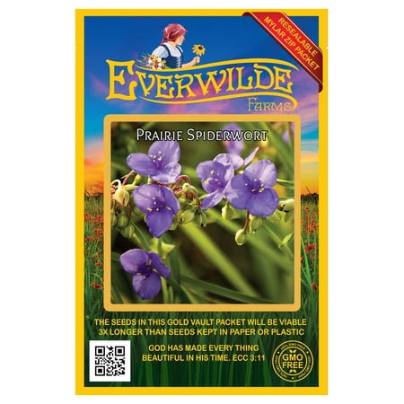 Everwilde Farms - 50 Prairie Spiderwort Native Wildflower Seeds - Gold Vault Seed Packet