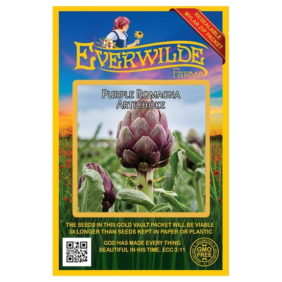 Everwilde Farms - 50 Purple Romagna Artichoke Seeds - Gold Vault Jumbo Bulk Seed Packet