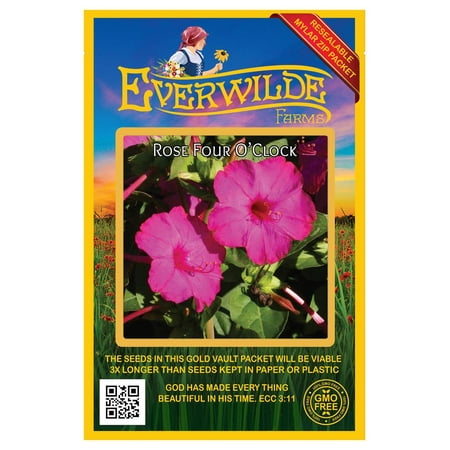Everwilde Farms - 50 Rose Four O Clock Garden Flower Seeds - Gold Vault Jumbo Bulk Seed Packet
