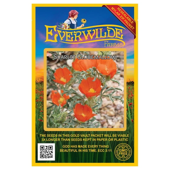 Everwilde Farms - 50 Scarlet Globe Mallow Native Wildflower Seeds - Gold Vault Seed Packet
