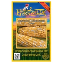 Everwilde Farms - 50 Serendipity F1 Hybrid Bicolor Sweet Corn Seeds - Gold Vault Jumbo Bulk Seed Packet