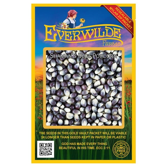 Everwilde Farms - 50 Shaman’s Blue Popcorn Seeds - Gold Vault Jumbo Bulk Seed Packet