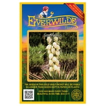 Everwilde Farms - 50 Soapweed Native Wildflower Seeds - Gold Vault Jumbo Bulk Seed Packet