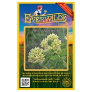 Everwilde Farms - 50 Spider Milkweed Native Wildflower Seeds - Gold Vault Seed Packet