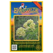 Everwilde Farms - 50 Spider Milkweed Native Wildflower Seeds - Gold Vault Seed Packet