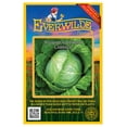 thumbnail image 1 of Everwilde Farms - 50 Stonehead Hybrid Cabbage Seeds - Gold Vault Seed Packet, 1 of 5