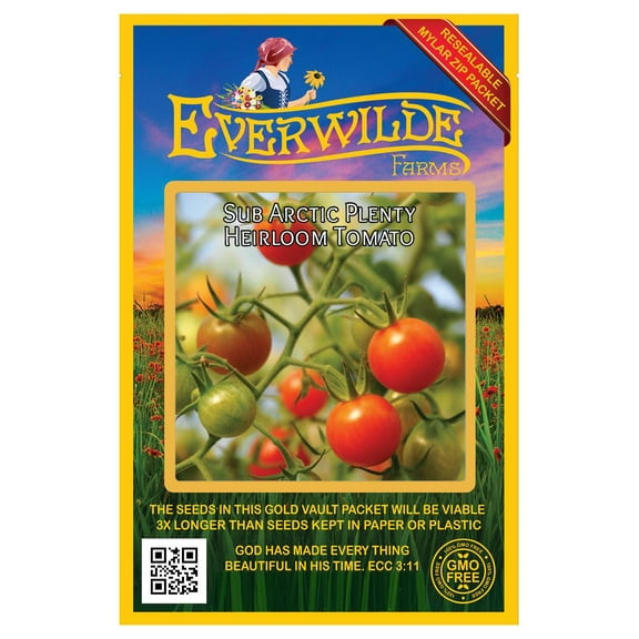 Everwilde Farms - 50 Sub Arctic Plenty Heirloom Tomato Seeds - Gold Vault Seed Packet