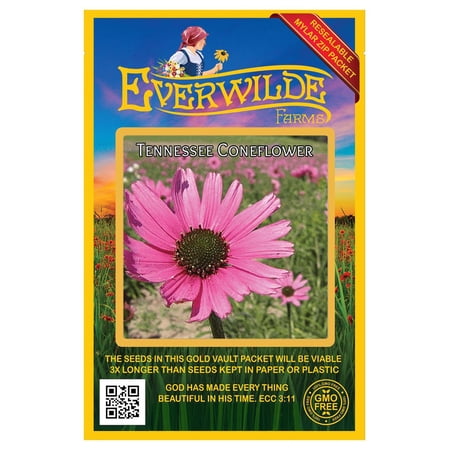 Everwilde Farms - 50 Tennessee Coneflower Native Wildflower Seeds - Gold Vault Seed Packet
