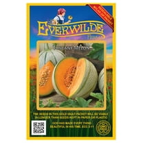 Everwilde Farms - 50 Tuscany Melon Seeds - Gold Vault Jumbo Bulk Seed Packet
