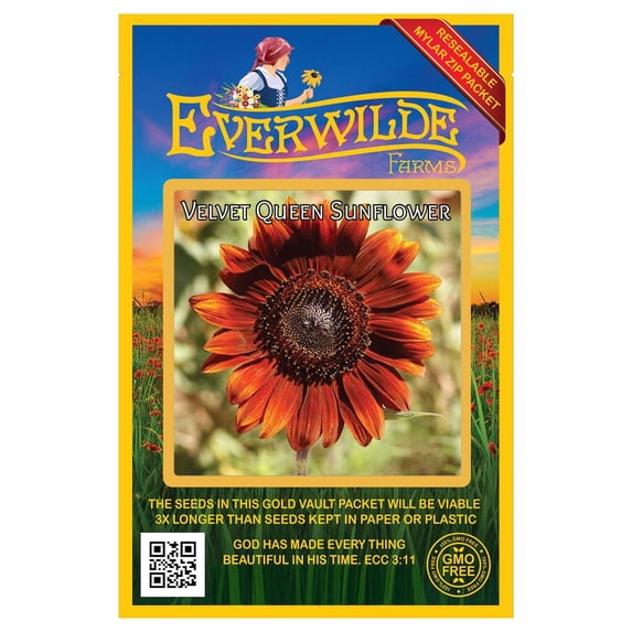 Everwilde Farms - 50 Velvet Queen Sunflower Garden Flower Seeds - Gold Vault Jumbo Bulk Seed Packet