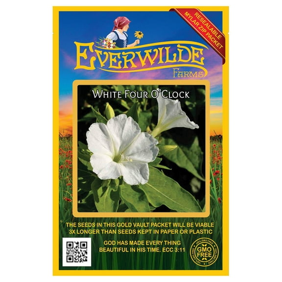 Everwilde Farms - 50 White Four O Clock Garden Flower Seeds - Gold Vault Jumbo Bulk Seed Packet