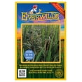 thumbnail image 1 of Everwilde Farms - 50 Wild Rice Native Grass Seeds - Gold Vault Jumbo Bulk Seed Packet, 1 of 4