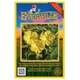 thumbnail image 1 of Everwilde Farms - 50 Yellow Four O Clock Garden Flower Seeds - Gold Vault Jumbo Bulk Seed Packet, 1 of 5