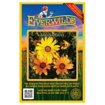 Everwilde Farms - 500 African Daisy Garden Flower Seeds - Gold Vault Jumbo Bulk Seed Packet