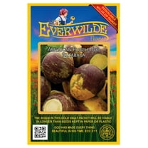 Everwilde Farms - 500 American Purple Top Rutabaga Seeds - Gold Vault Jumbo Bulk Seed Packet