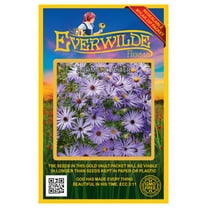 Everwilde Farms - 500 Aromatic Aster Native Wildflower Seeds - Gold Vault Seed Packet