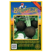 Everwilde Farms 500 Black Spanish Round Radish Plant Seeds