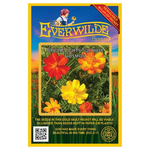 Everwilde Farms - 500 Bright Lights Mixed Sulphur Cosmos Garden Flower Seeds - Gold Vault Jumbo Bulk Seed Packet