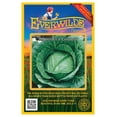 thumbnail image 1 of Everwilde Farms - 500 Brunswick Cabbage Seeds - Gold Vault Jumbo Bulk Seed Packet, 1 of 5