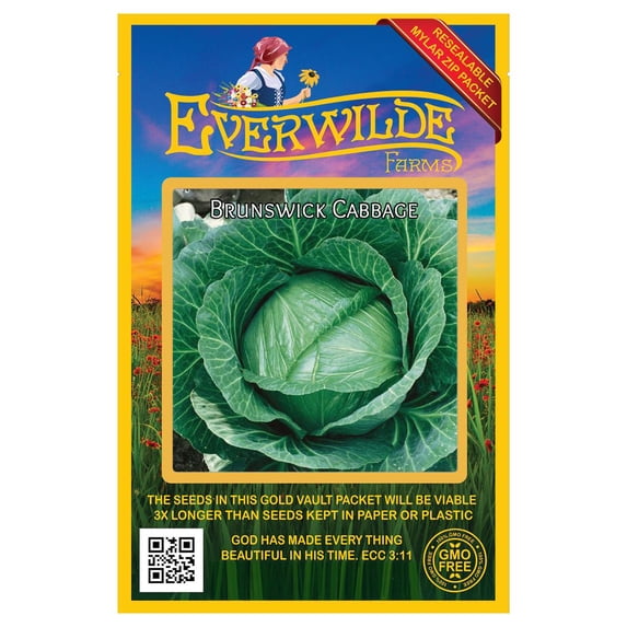 Everwilde Farms - 500 Brunswick Cabbage Seeds - Gold Vault Jumbo Bulk Seed Packet