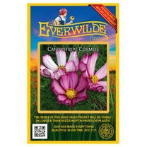Everwilde Farms 500 Candystripe Cosmos Flower Seeds, Resealable Mylar Packaging