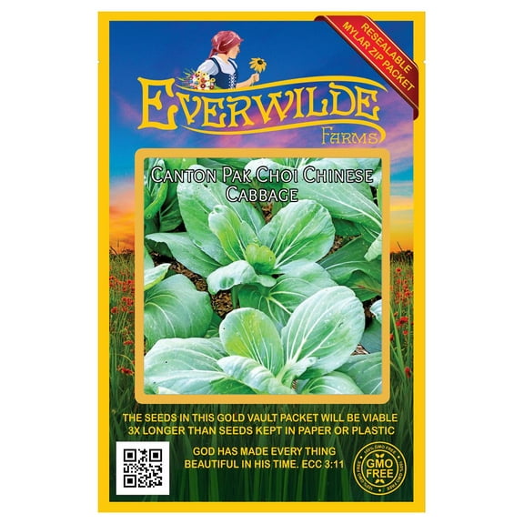 Everwilde Farms - 500 Canton Pak Choi Chinese Cabbage Seeds - Gold Vault Jumbo Bulk Seed Packet