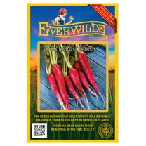 Everwilde Farms - 500 China Rose Radish Seeds - Gold Vault Jumbo Bulk Seed Packet
