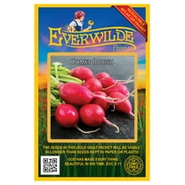 Everwilde Farms - 500 Comet Radish Seeds - Gold Vault Jumbo Bulk Seed Packet