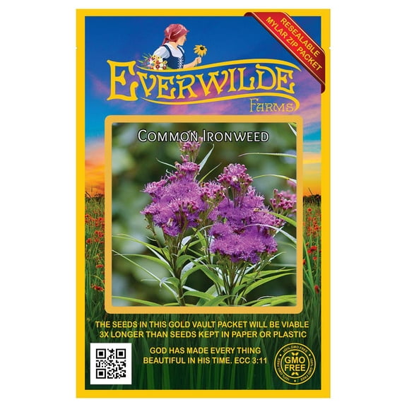Everwilde Farms - 500 Common Ironweed Native Wildflower Seeds - Gold Vault Seed Packet