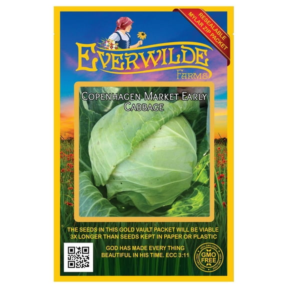 Everwilde Farms - 500 Copenhagen Market Early Cabbage Seeds - Gold Vault Jumbo Bulk Seed Packet