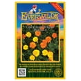 thumbnail image 1 of Everwilde Farms 500 Crackerjack African Marigold Flower Seeds, 100% GMO-free, 1 of 5