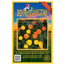 Everwilde Farms 500 Crackerjack African Marigold Flower Seeds, 100% GMO-free