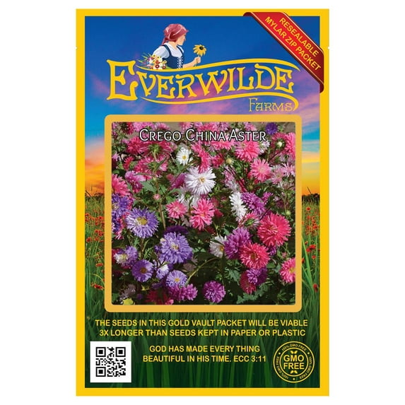 Everwilde Farms - 500 Crego Mixed China Aster Garden Flower Seeds - Gold Vault Jumbo Bulk Seed Packet