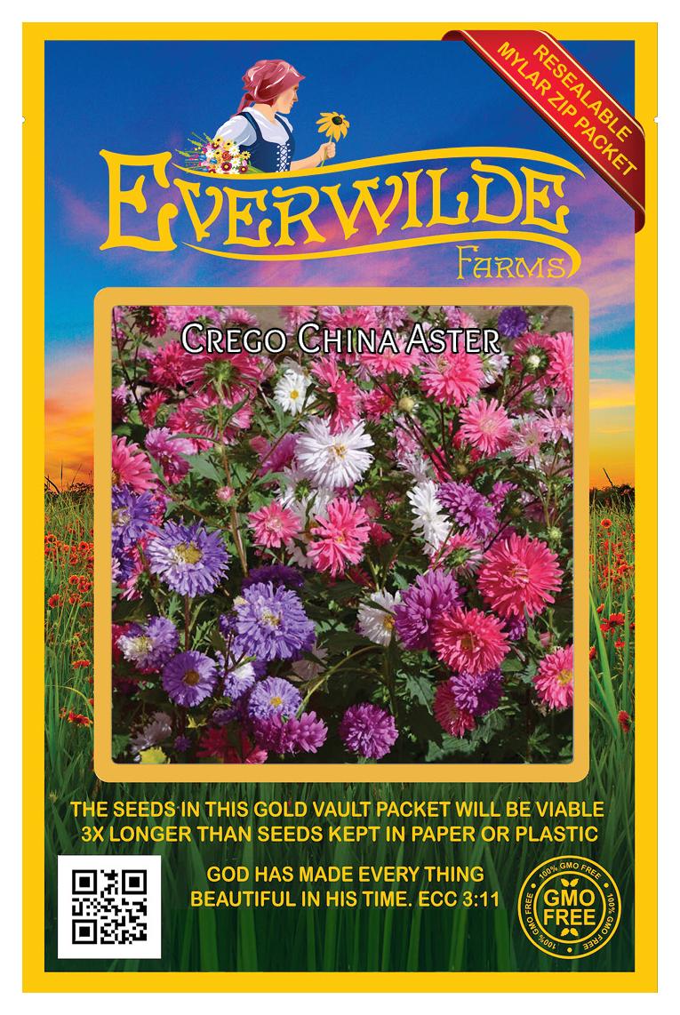 Everwilde Farms 2000 Imperator Carrot Seeds – Heirloom, Open Pollinated, Cool Season Vegetable, Mylar Packet
