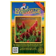 Everwilde Farms 500 Crimson Clover Flower Seeds, Resealable Mylar Packaging