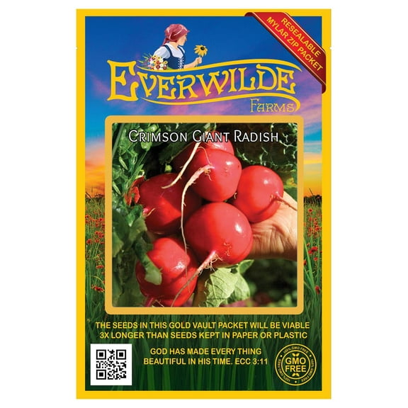 Everwilde Farms - 500 Crimson Giant Radish Seeds - Gold Vault Jumbo Bulk Seed Packet