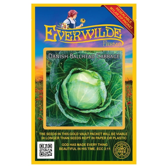 Everwilde Farms - 500 Danish Ballhead Cabbage Seeds - Gold Vault Jumbo Bulk Seed Packet