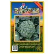 Everwilde Farms - 500 De Cicco Broccoli Seeds - Gold Vault Jumbo Bulk Seed Packet