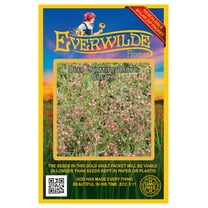 Everwilde Farms - 500 Deep Carmine Babys Breath Garden Flower Seeds - Gold Vault Jumbo Bulk Seed Packet