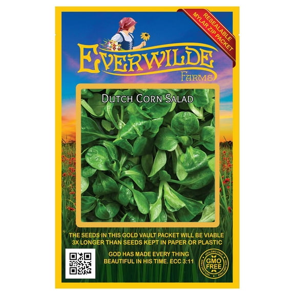 Everwilde Farms - 500 Dutch Corn Salad Herb Seeds - Gold Vault Jumbo Bulk Seed Packet