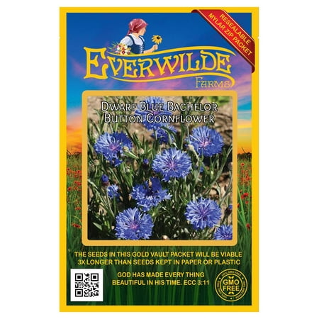 Everwilde Farms 500 Dwarf Blue Bachelor Button Cornflower Flower Seeds