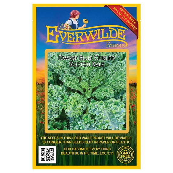 Everwilde Farms - 500 Dwarf Blue Curled Scotch Kale Seeds - Gold Vault Jumbo Bulk Seed Packet