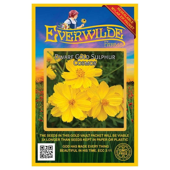 Everwilde Farms - 500 Dwarf Gold Sulphur Cosmos Garden Flower Seeds - Gold Vault Jumbo Bulk Seed Packet