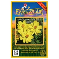 Everwilde Farms - 500 Dwarf Lemon Sulphur Cosmos Garden Flower Seeds - Gold Vault Jumbo Bulk Seed Packet