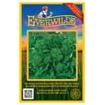 thumbnail image 1 of Everwilde Farms - 500 Early Fall Rapini Broccoli Seeds - Gold Vault Jumbo Bulk Seed Packet, 1 of 5