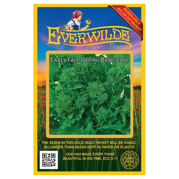 Everwilde Farms - 500 Early Fall Rapini Broccoli Seeds - Gold Vault Jumbo Bulk Seed Packet