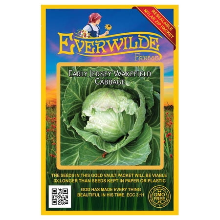 Everwilde Farms - 500 Early Jersey Wakefield Cabbage Seeds - Gold Vault Jumbo Bulk Seed Packet