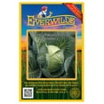 thumbnail image 1 of Everwilde Farms - 500 Early Round Dutch Cabbage Seeds - Gold Vault Jumbo Bulk Seed Packet, 1 of 5