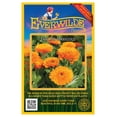 thumbnail image 1 of Everwilde Farms - 500 English Marigold Garden Flower Seeds - Gold Vault Jumbo Bulk Seed Packet, 1 of 5