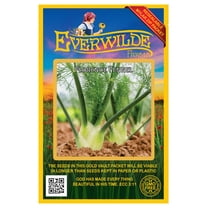 Everwilde Farms - 500 Florence Fennel Herb Seeds - Gold Vault Jumbo Bulk Seed Packet